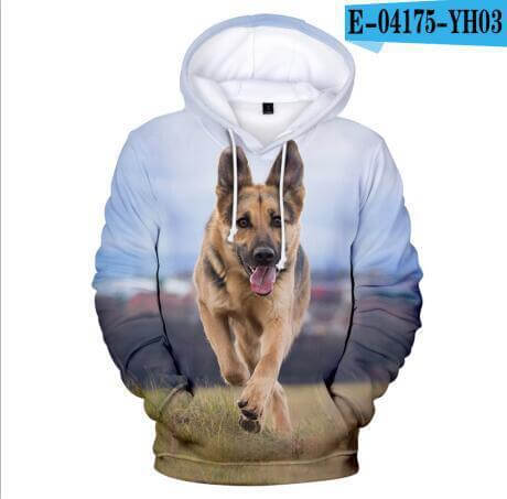 Sports and leisure hooded sweater