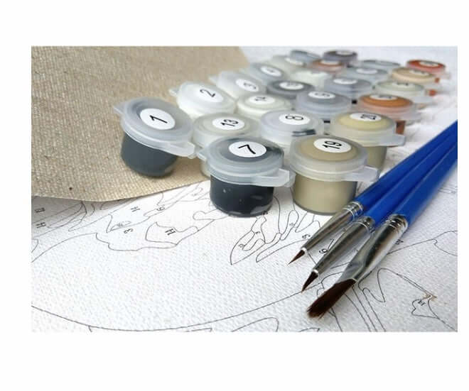 Angry Bison  DIY Painting By Numbers Kits