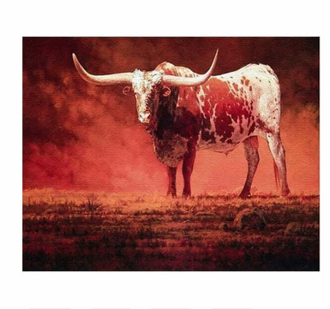 Angry Bison  DIY Painting By Numbers Kits