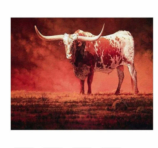 Angry Bison  DIY Painting By Numbers Kits